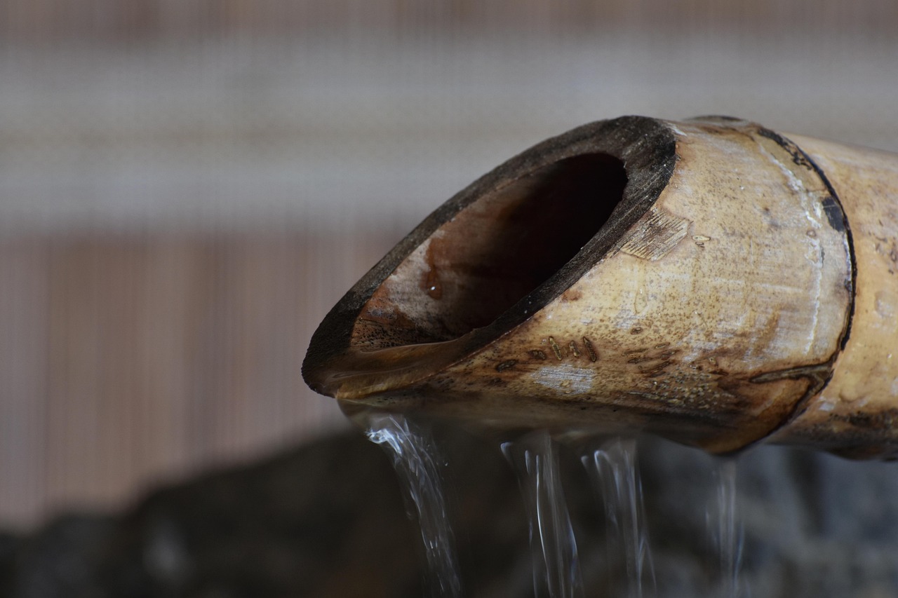 全民主公Ⅱ：代理注册医生是什么职称