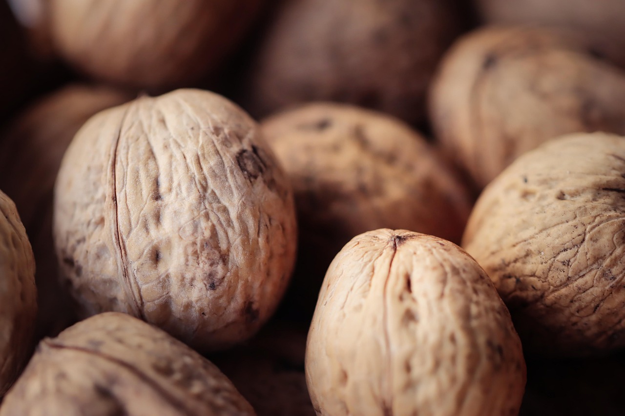 多途云实名账号：睢阳区代理商标注册费用