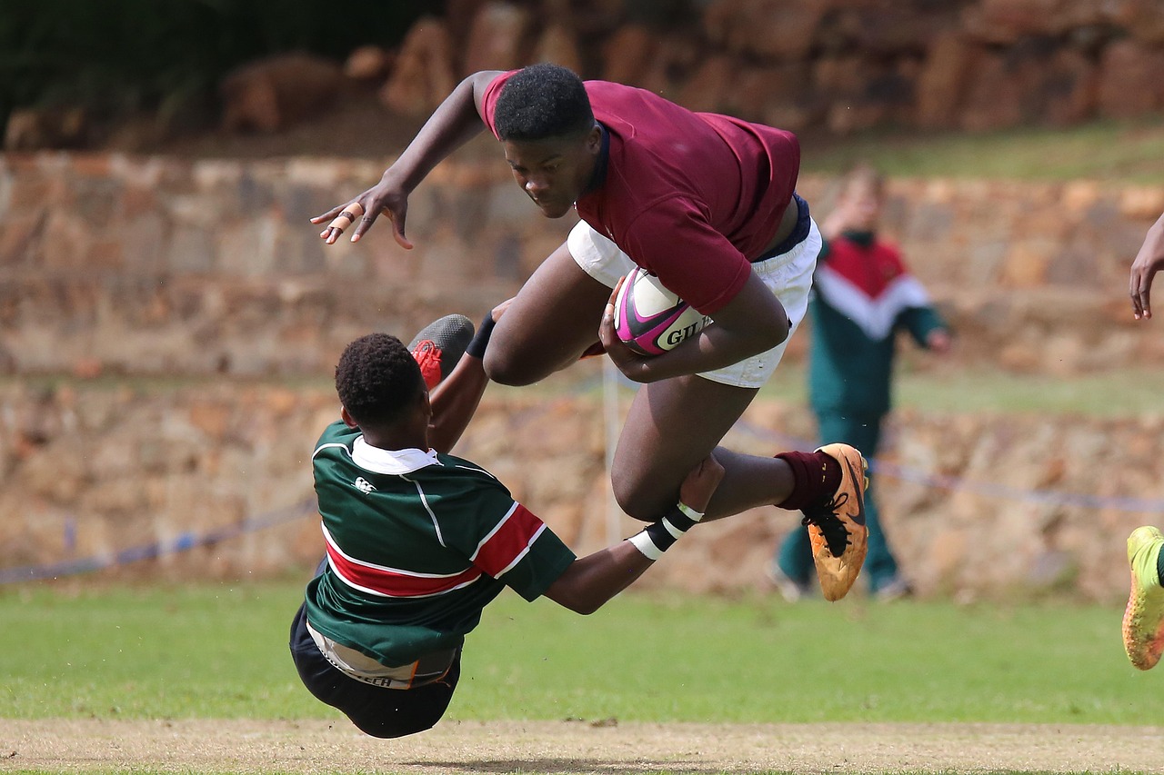 诛仙手游：杭州购买雪纳瑞在哪个平台购买