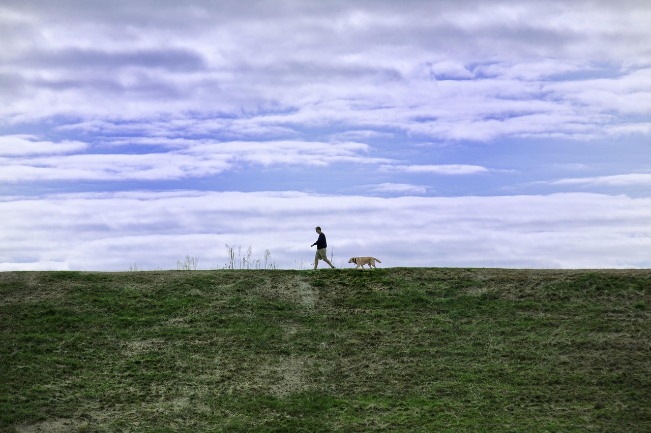 高希霸俱乐部2022限量版（20支/盒）：正规弹弓购买平台
