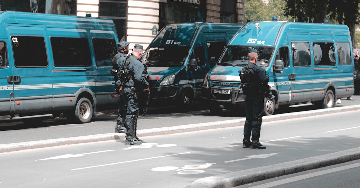 免费攻击网站|花样直播平台代理