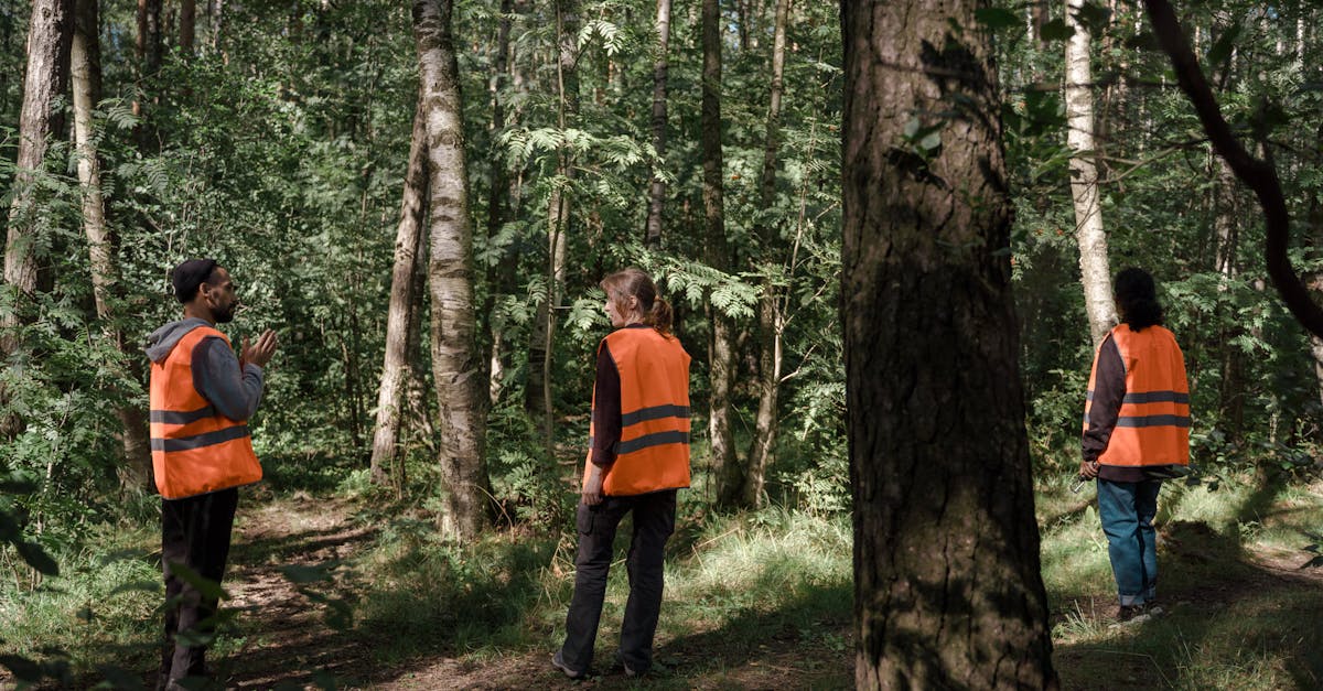 Mond梦都西瓜：冠军秀app详情下载教程