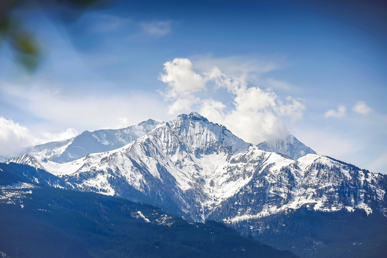 DDOS压力测试网页端|黑客如何攻击和利用在线市场和购物应用